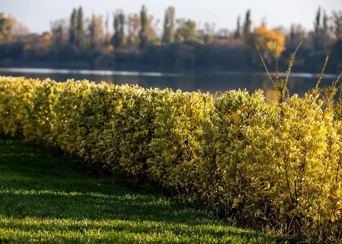 No 108 Lebada Апартаменти